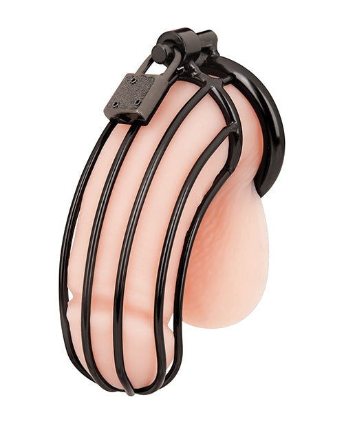 Blue Line Prisoner Cock Cage - Black by Blue Line