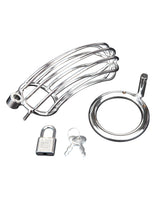 Blue Line Prisoner Cock Cage - Silver by Blue Line