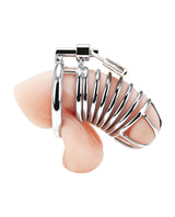 Blue Line Deluxe Chastity Cage - Silver by Blue Line
