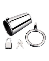 Blue Line Ultimate Cock Tease Chastity Cage - Silver