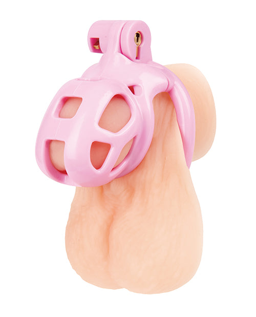 Small Pink Humiliation Acrylic Prisoner Cock Cage by Blue Line
