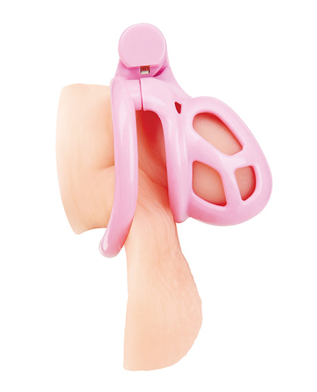 Small Pink Humiliation Acrylic Prisoner Cock Cage by Blue Line