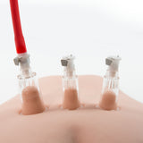 Blush Temptasia Clitoris & Nipple Pleasure Pump Kit - BL-68338