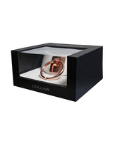 Pleasure Collection Adjustable Collar - White/Rose Gold by Coquette Pleasure Collection