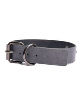 Pleasure Collection Gunmetal Glam Collar & Leash w/Removable Chain by Coquette Pleasure Collection
