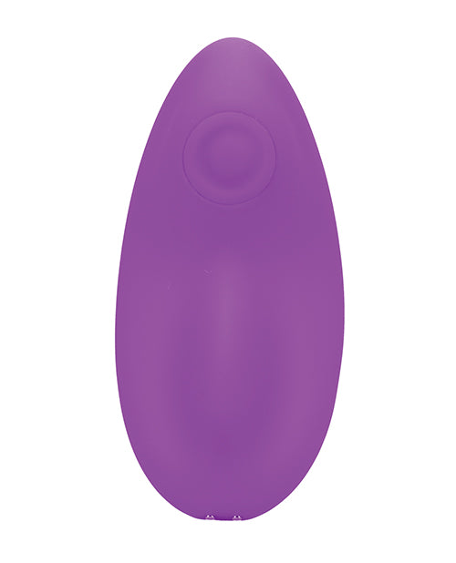 In A Bag Magnetic Panty Vibe with Remote — Purple