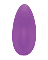 In A Bag Magnetic Panty Vibe with Remote — Purple
