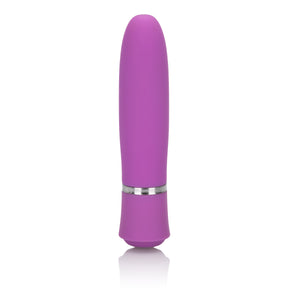 CalExotics Taking Care of Business 3-Speed Personal Massager — Purple - SE0063143