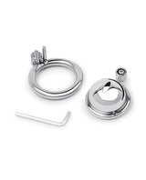 Lockmaster Stainless Steel Inverted Micro Chastity Cage - Silver by Lockmaster