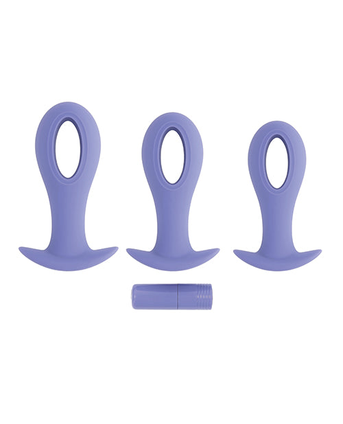 Evolved Hole Punch Anal Plug Set — Purple (Set of 3)