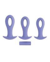 Evolved Hole Punch Anal Plug Set — Purple (Set of 3)