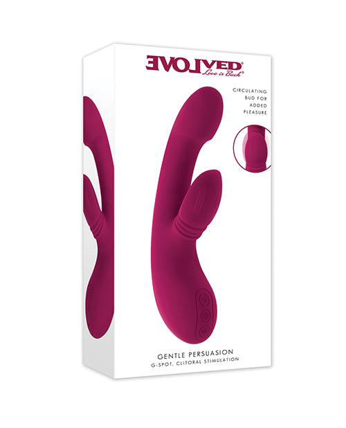 Evolved Gentle Persuasion - Burgundy by Evolved