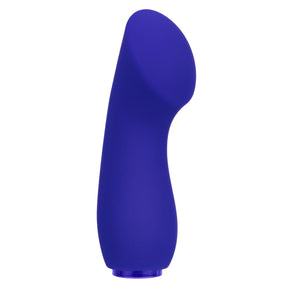 CalExotics Raven G Pleaser Mini Silicone Massager, Purple, 4.25 in - SE2801143