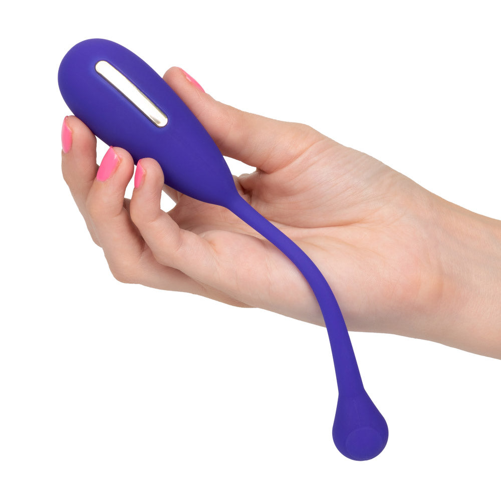 Impulse Intimate E-Stimulator Remote Kegel Exerciser by CalExotics