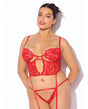Cecily Lace & Mesh Bustier w/Thong & Garter Straps - Red 3X/4X by House of Desire
