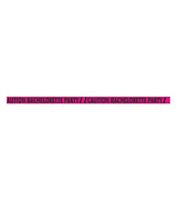Hott Products Bachelorette Party Caution Tape — 100 ft, Pink & Black