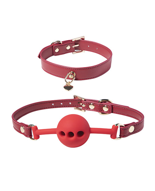 Honey Play Box 8-Piece Red Bondage Kit