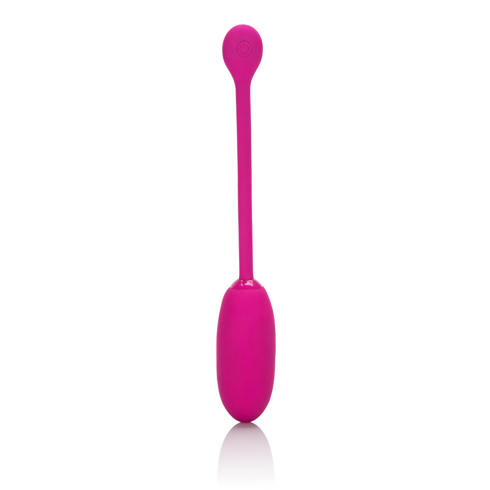 Rechargeable Kegel Ball Advanced by CalExotics