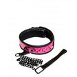 "Sinful Collar - Pink NSN1222-14"