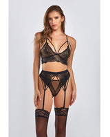 Everly Dot Mesh & Galloon Lace Strappy Bra, Garterbelt & Hipster Panty Black 2X by iCollection Lingerie