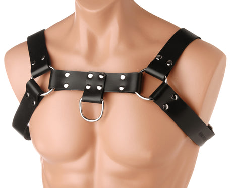 English Bull Dog Harness by XR Brands