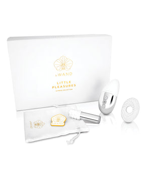 Le Wand Little Pleasures 6 pc Kit - Chrome by Le Wand