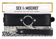 Sportsheets Shadow Collar & Detachable Leash — Black - SS10301