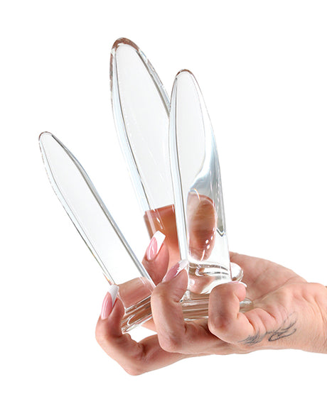 Crystal Borosilicate Glass Anal Trainer Kit, Clear 3-Piece Set