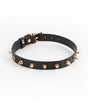 Fetish & Fashion Medusa Collar - Black by Fetish & Fashion