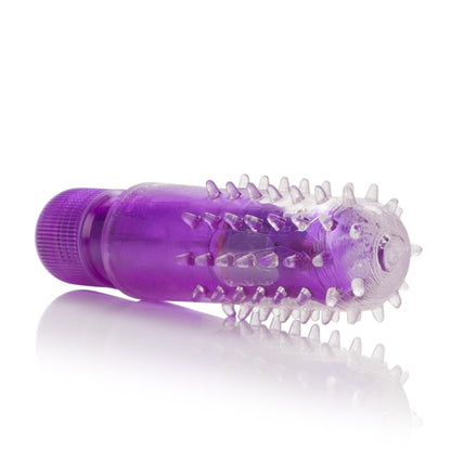 Travel Blaster - Purple by CalExotics