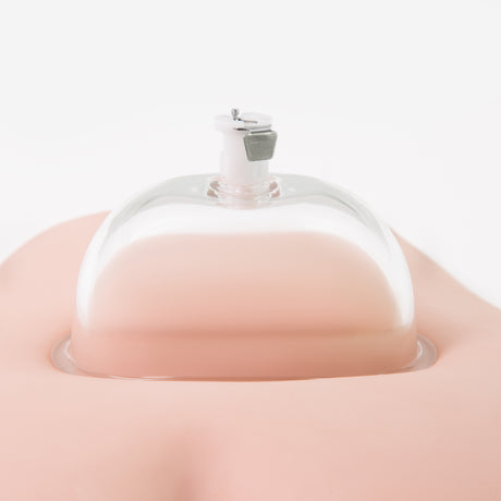 Blush Temptasia Intense Labia Pump System with Clear Hood - BL-68318