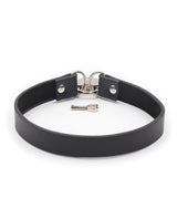 Plesur PVC Locking Collar with Heart Lock, Black, 14"