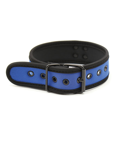 Plesur Neoprene Puppy Collar - Blue by Plesur