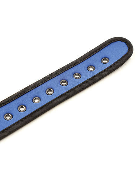 Plesur Neoprene Puppy Collar - Blue, D-Ring Choker