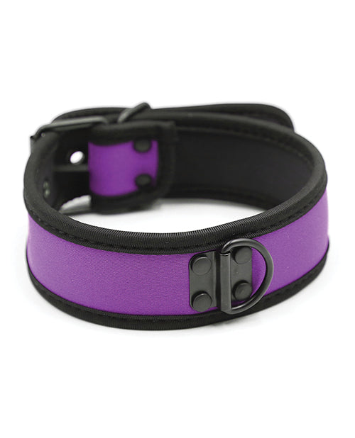 Plesur Neoprene Puppy Collar - Purple by Plesur