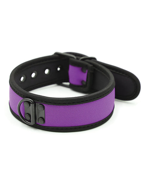 Plesur Neoprene Puppy Collar — Purple Choker