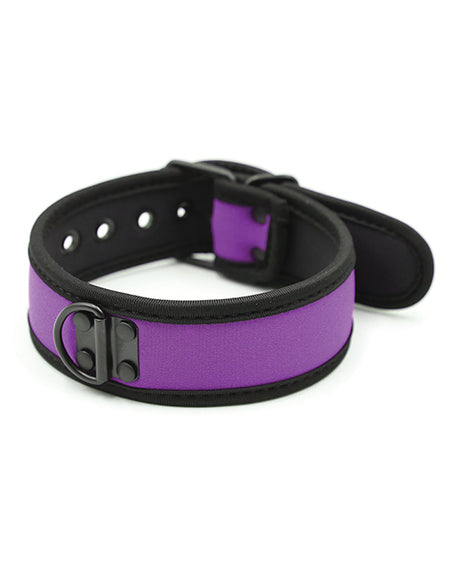 Plesur Neoprene Puppy Collar — Purple Choker