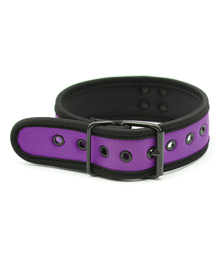 Plesur Neoprene Puppy Collar — Purple Choker