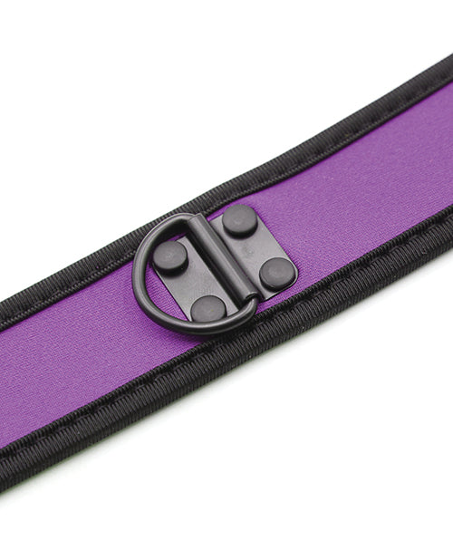 Plesur Neoprene Puppy Collar - Purple by Plesur