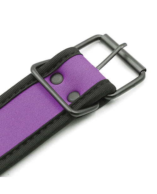 Plesur Neoprene Puppy Collar - Purple by Plesur