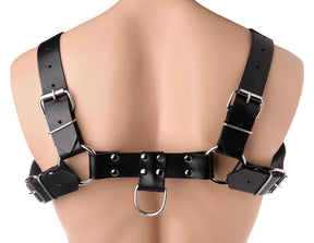 XR Brands English Bull Dog Chest Harness - STR-AD681