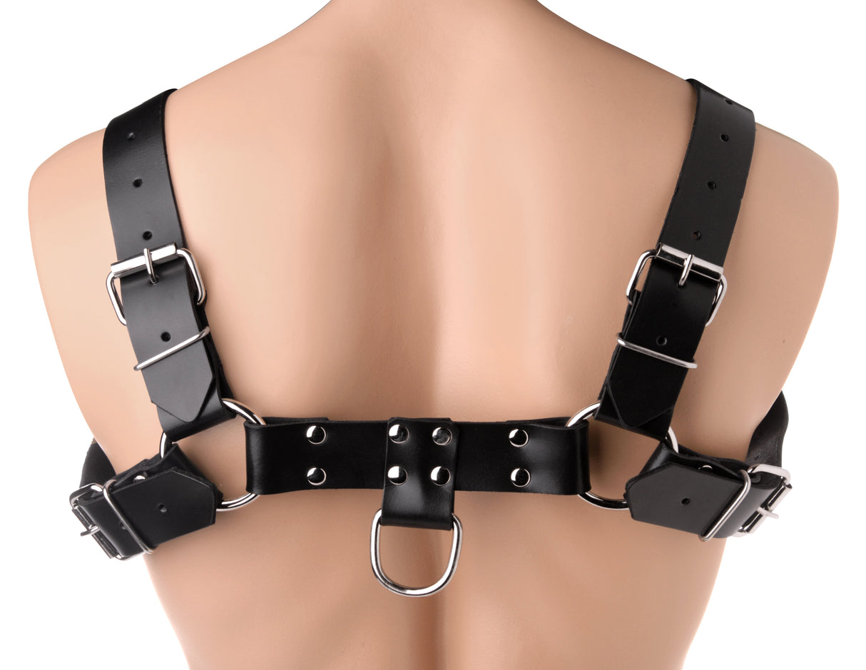 English Bull Dog Harness by XR Brands