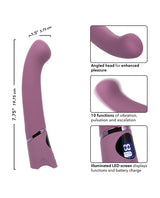 Orgasmatron Digital G-Wand Vibrator - Purple by Orgasmatron