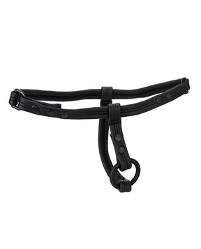 Sport Fucker Scrum Plug Harness - M/L by Sport Fucker