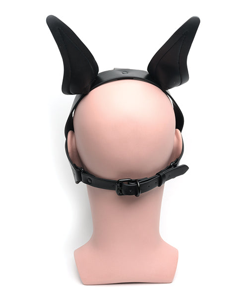 665 Playful Pup Hood - O/S Black by 665