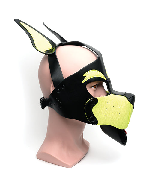 665 Playful Pup Hood - O/S Black/Yellow by 665