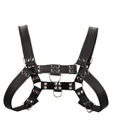 Shots Uomo Chest Bulldog Harness Large/XLarge - Black by Ouch Uomo