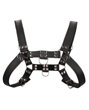 Shots Uomo Chest Bulldog Harness Large/XLarge - Black by Ouch Uomo