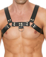 Shots Uomo Chest Bulldog Harness Large/XLarge - Black by Ouch Uomo