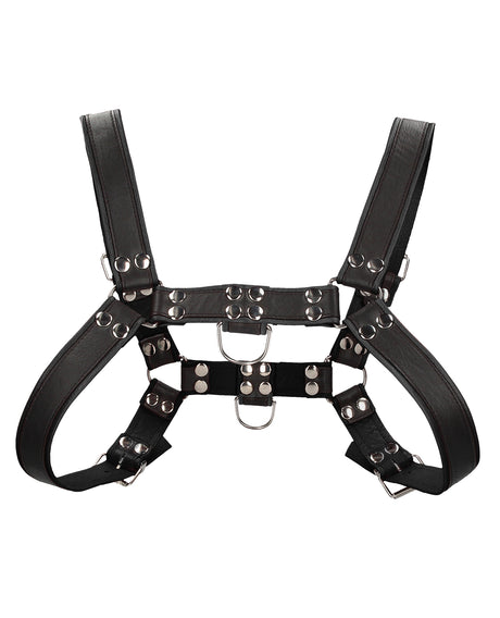 Shots Uomo Chest Bulldog Harness Small/Medium - Black by Ouch Uomo